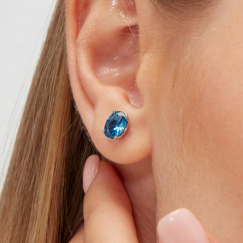 Blue Fancy Earrings