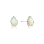 Silver Opal Color Stud Earrings