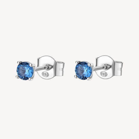 Blue Fancy Earrings