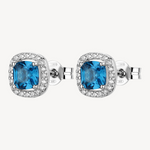 Blue Fancy Earrings