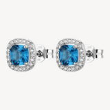 Blue Fancy Earrings