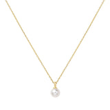 Gold Shell Pearl Drop Necklace