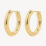 Aura Earrings