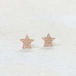 Sterling Silver Rose Gold Plated CZ Star Studs