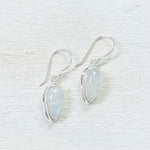 Sterling Silver Rainbow Moonstone Teardrop Dangle Earrings