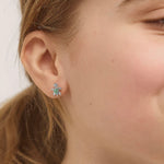 Sterling Silver Turtle Earrings