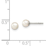 Sterling Silver 4-5mm Freshwater Cultured Pearl Studs