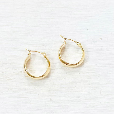 Fashion Gold Tone Hoops