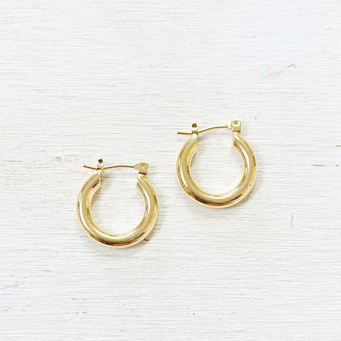 Fashion Gold Tone Hoops