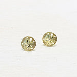 Sterling Silver Gold Plated Sand Dollar Studs
