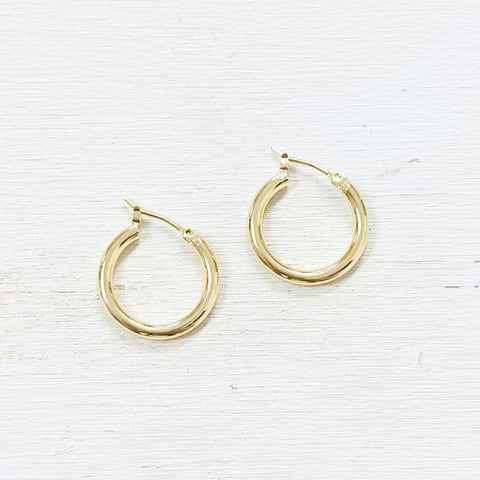 Fashion Gold Tone Hoops