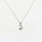 Sterling Silver Moon and Star Necklace