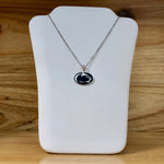 Sterling Silver Penn State Necklace