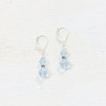 Sterling Silver March Double Crystal Earrings
