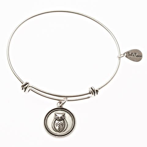 Owl Bangle Charm Bracelet