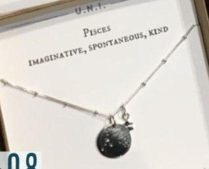PISCES: Imaginative, Spontaneous, Kind Necklace